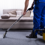 Carpet Cleaning as Part of a Healthy Home Routine