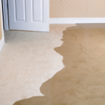 Water-Damaged Carpets