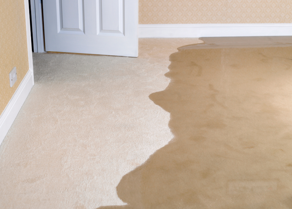 Water-Damaged Carpets