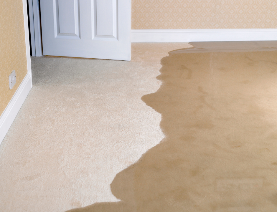 Water-Damaged Carpets