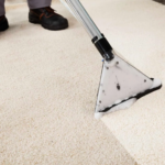 best-and-professional-carpet-cleaning-services.jpg-2