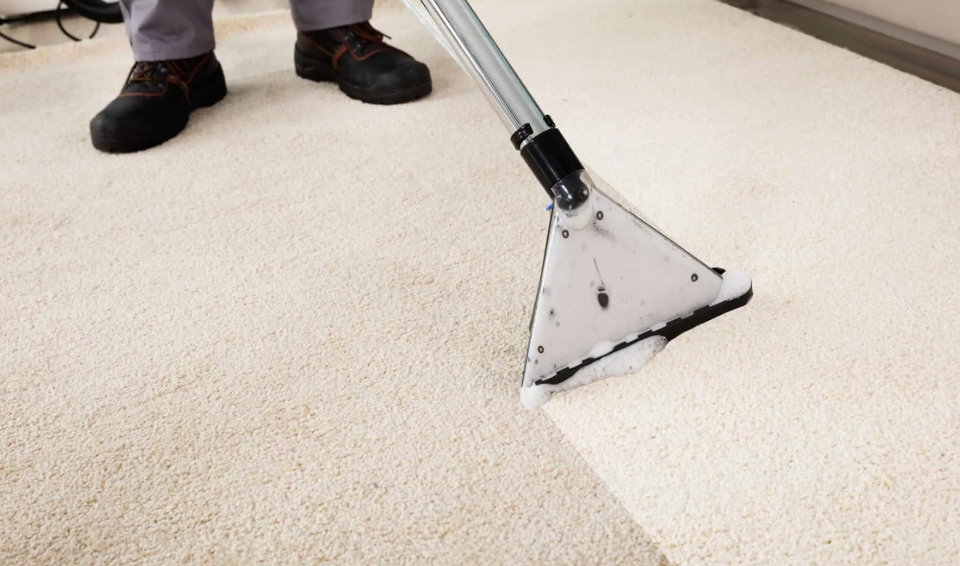 best-and-professional-carpet-cleaning-services.jpg-2